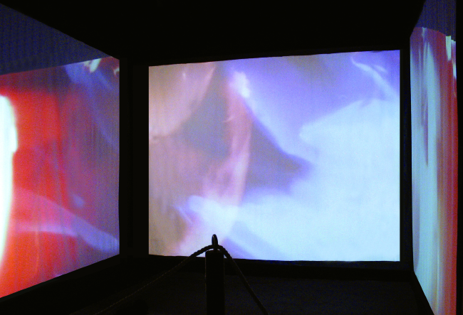 Flutter Arrhythmias: Installation Documentation, 3-screen projection, Islip Museum of Art, 2009. Sound by Charles Norman Mason.